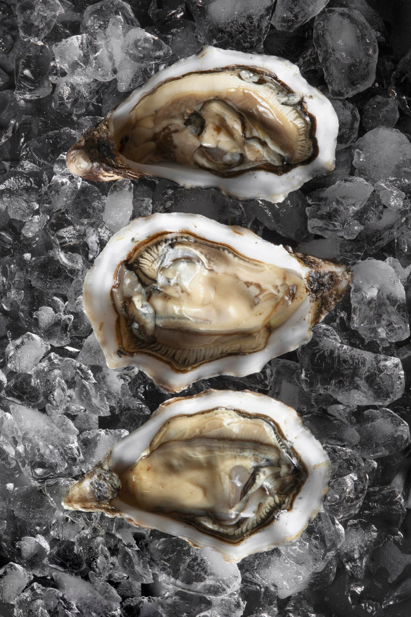 Crudi di mare